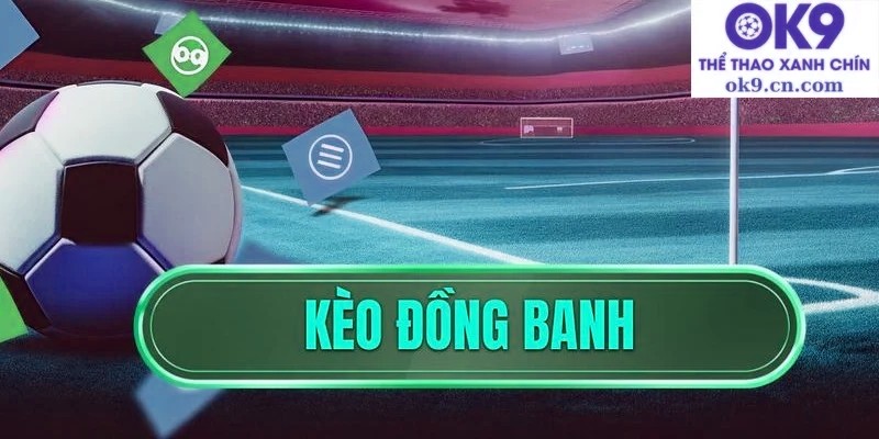 Cách tham gia kèo đồng banh x5bet vip