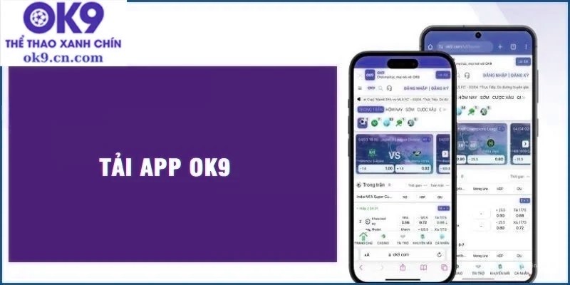 Các điều kiện cần thiết để tải app  nhà cái x5bet