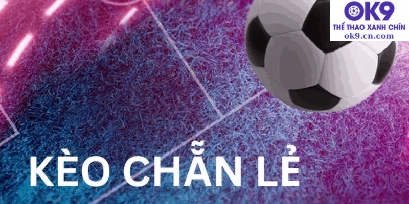 Giải Thích Các Loại Kèo Nhà Cái Dễ Hiểu Nhất