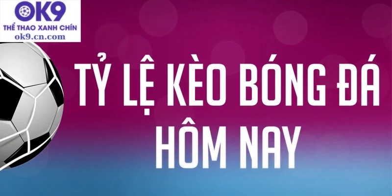 Những tỷ lệ kèo thể thao thú vị nhất đang chờ đón bạn.